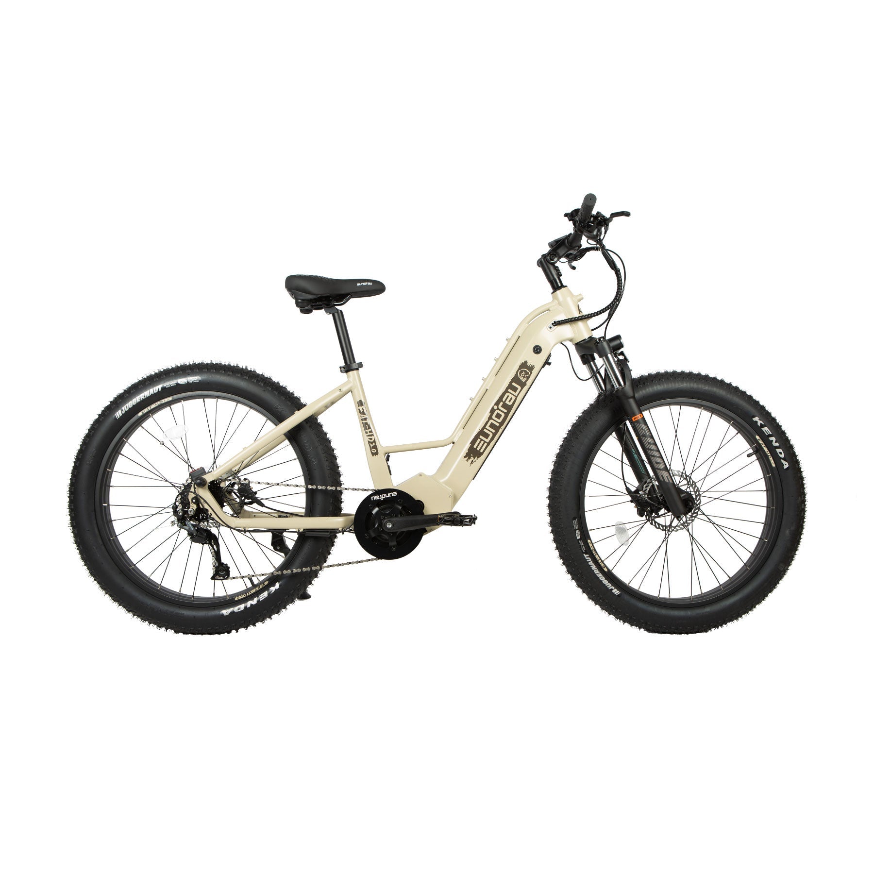 1000W fat tire e-bike with 26" wheels and BAFANG mid motor, ideal for rugged terrains.